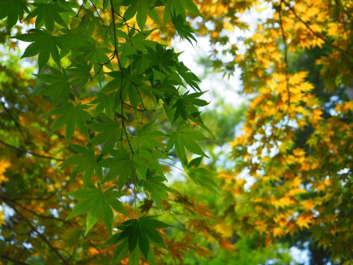 Tamachi Bukeyashiki Hotel - Vacation Stay 20163V Daisen  ภายนอก รูปภาพ
